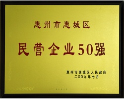 民营企业50强